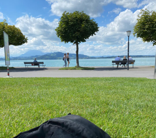 Seesicht – Zug